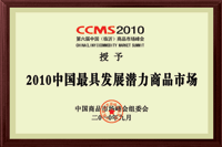 2010中國最具發(fā)展?jié)摿ι唐肥袌?chǎng)